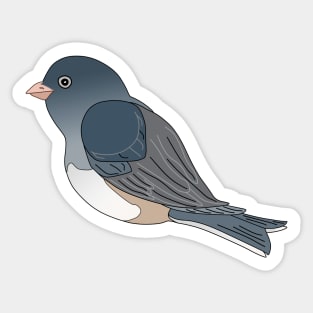 Cute Dark Eyed Junco Graphic Bird Sticker